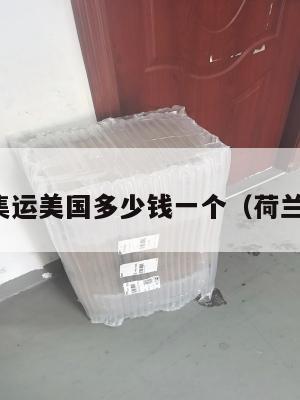 荷兰集运美国多少钱一个（荷兰海运）