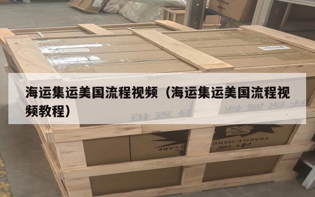 海运集运美国流程视频（海运集运美国流程视频教程）