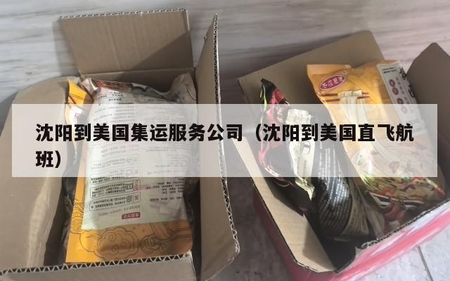 沈阳到美国集运服务公司（沈阳到美国直飞航班）