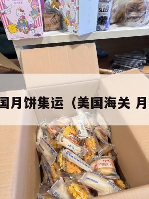 美国月饼集运（美国海关 月饼）