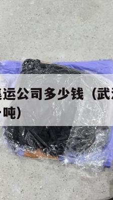 武汉到美国集运公司多少钱（武汉到美国集运公司多少钱一吨）