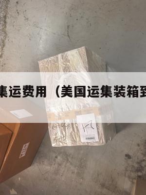 浙江美国集运费用（美国运集装箱到中国价格多少）