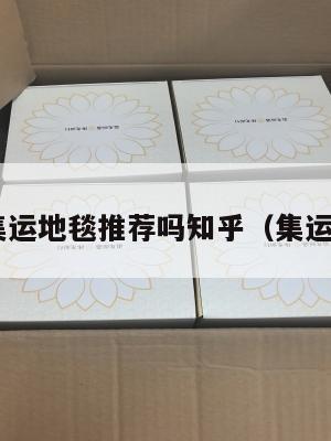 美国集运地毯推荐吗知乎（集运 美国）