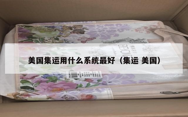 美国集运用什么系统最好（集运 美国）