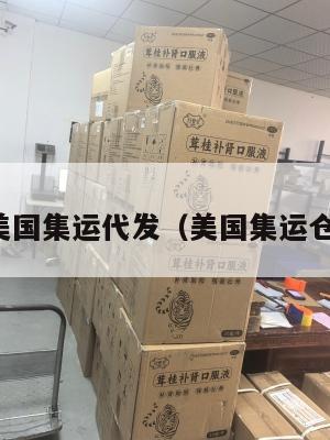美国集运代发（美国集运仓）