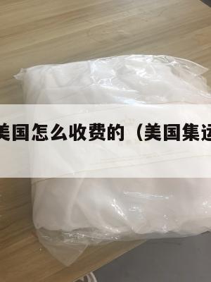 快递集运美国怎么收费的（美国集运仓地址在哪里）