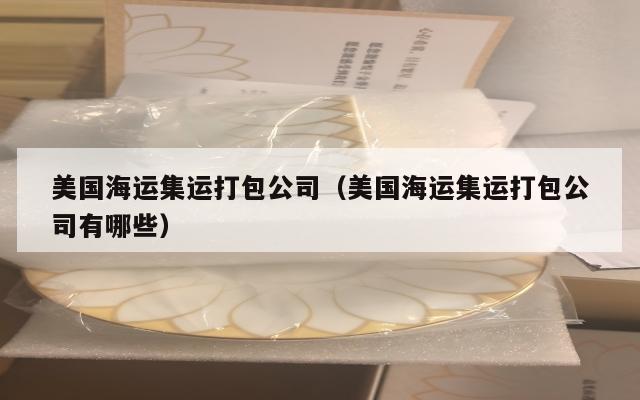 美国海运集运打包公司（美国海运集运打包公司有哪些）