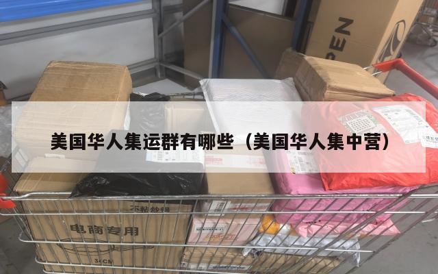 美国华人集运群有哪些（美国华人集中营）