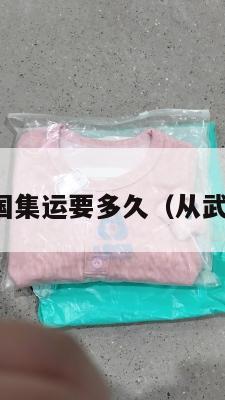 武汉到美国集运要多久（从武汉到美国）