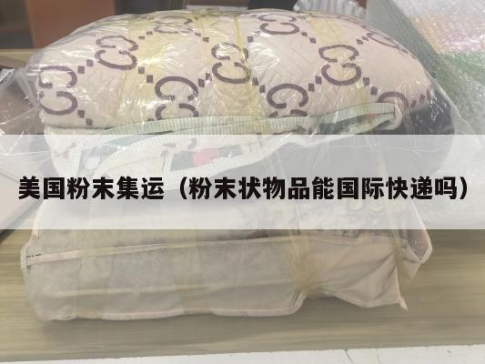 美国粉末集运（粉末状物品能国际快递吗）
