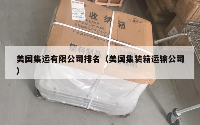 美国集运有限公司排名（美国集装箱运输公司）