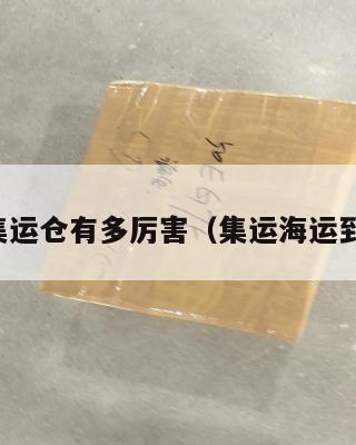 美国集运仓有多厉害（集运海运到美国）