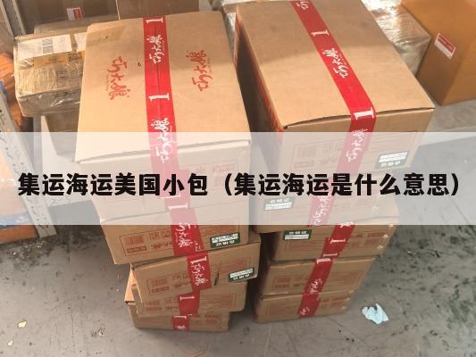 集运海运美国小包（集运海运是什么意思）