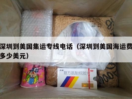 深圳到美国集运专线电话（深圳到美国海运费多少美元）