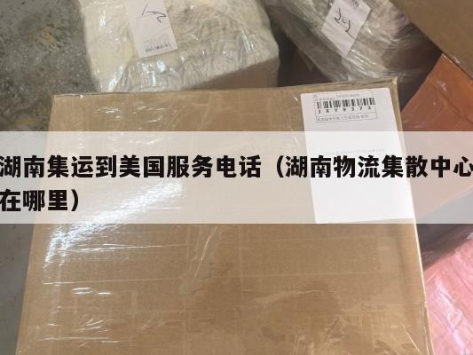 湖南集运到美国服务电话（湖南物流集散中心在哪里）