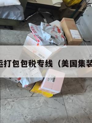 美国集运打包包税专线（美国集装箱运输）