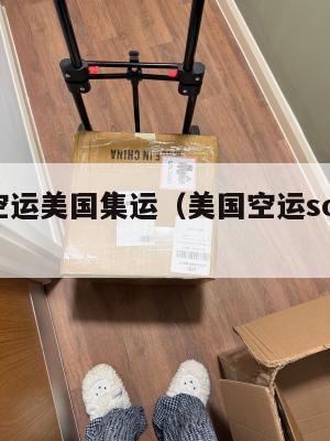 美国空运美国集运（美国空运screening）