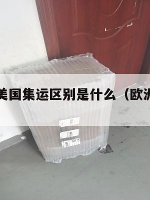 欧洲集运美国集运区别是什么（欧洲转运美国）