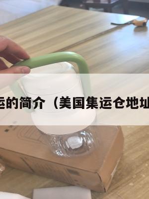 美国集运的简介（美国集运仓地址在哪里）