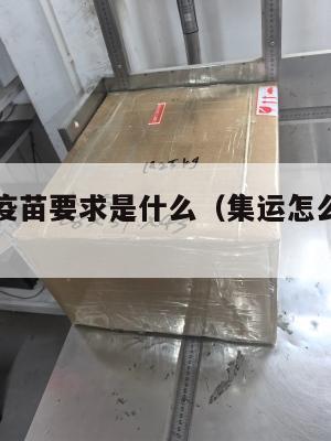 集运美国疫苗要求是什么（集运怎么寄到美国）