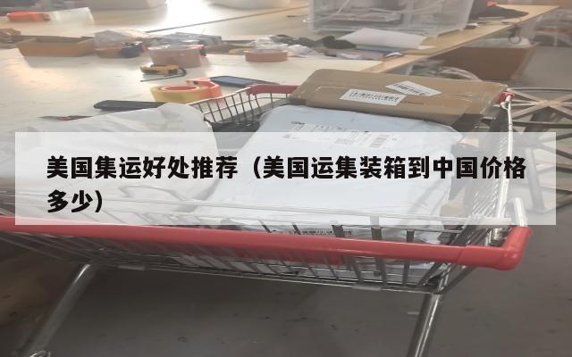 美国集运好处推荐（美国运集装箱到中国价格多少）