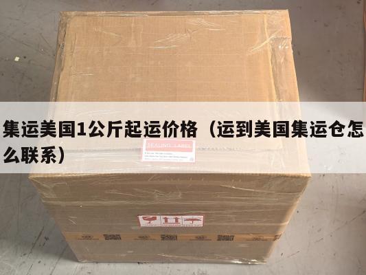 集运美国1公斤起运价格（运到美国集运仓怎么联系）