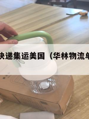 华林国际快递集运美国（华林物流单号查询系统）