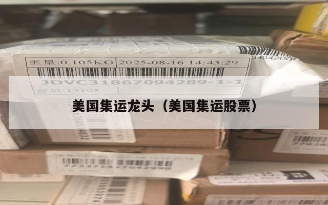 美国集运龙头（美国集运股票）