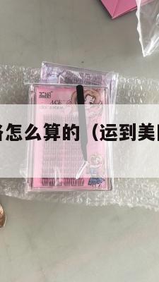 集运美国价格怎么算的（运到美国集运仓怎么联系）