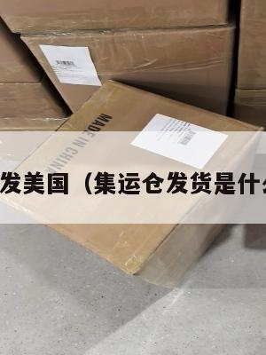 集运仓发美国（集运仓发货是什么意思）