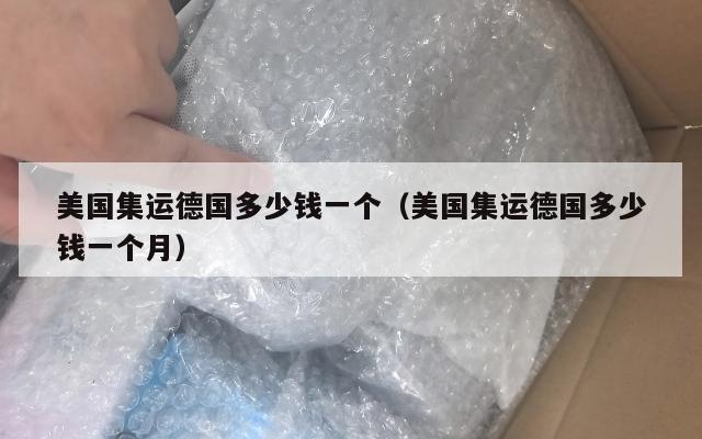 美国集运德国多少钱一个（美国集运德国多少钱一个月）
