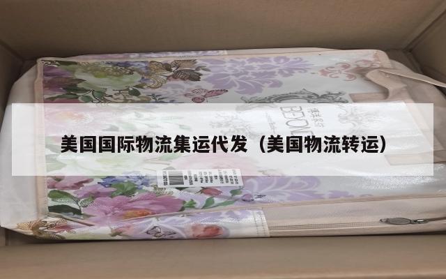美国国际物流集运代发（美国物流转运）