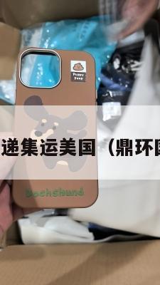 鼎国际快递集运美国（鼎环国际货运）