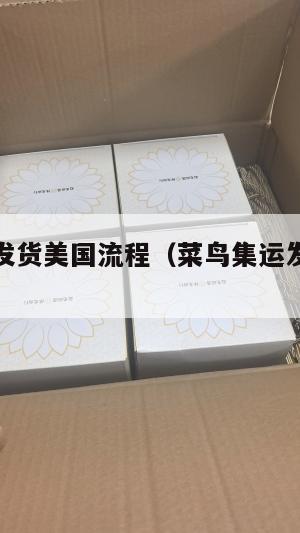 菜鸟集运发货美国流程（菜鸟集运发货美国流程是什么）