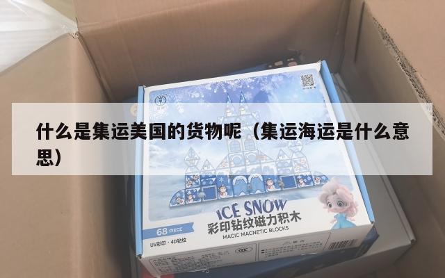 什么是集运美国的货物呢（集运海运是什么意思）
