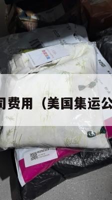 美国集运公司费用（美国集运公司费用高吗）