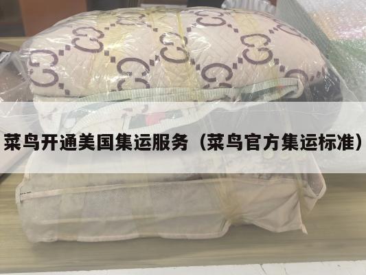 菜鸟开通美国集运服务（菜鸟官方集运标准）