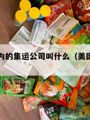 美国到国内的集运公司叫什么（美国到国内转运公司）