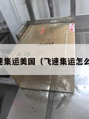 飞速集运美国（飞速集运怎么样）