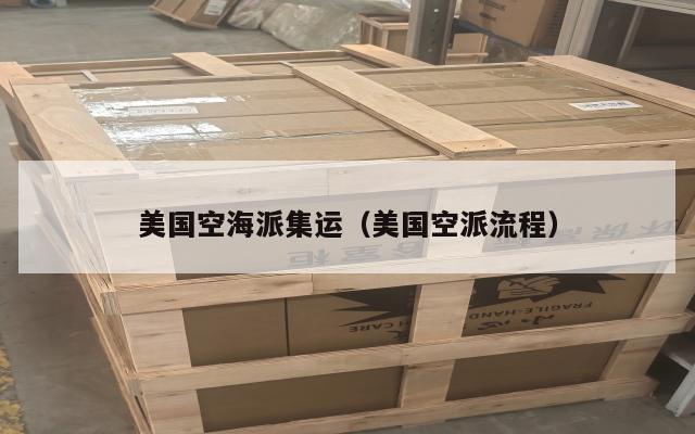 美国空海派集运（美国空派流程）