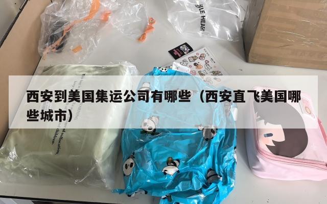 西安到美国集运公司有哪些（西安直飞美国哪些城市）