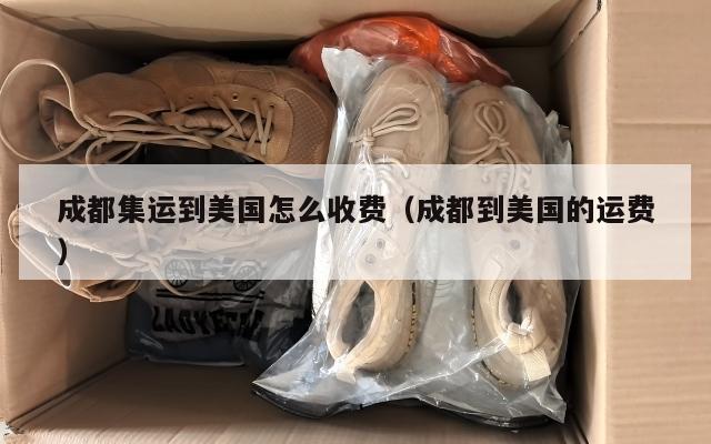 成都集运到美国怎么收费（成都到美国的运费）