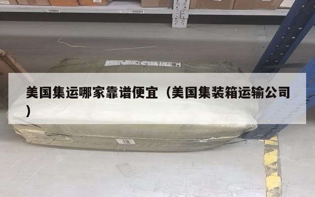 美国集运哪家靠谱便宜（美国集装箱运输公司）