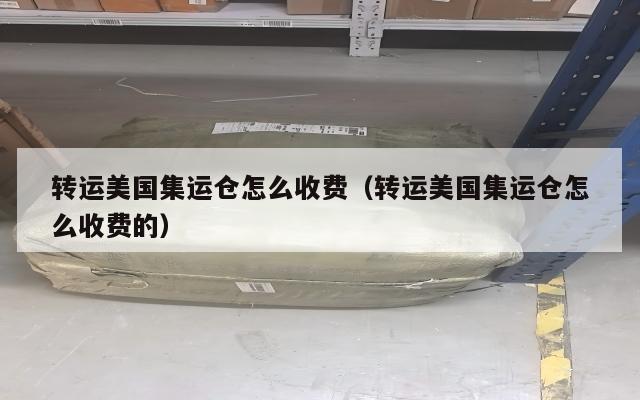 转运美国集运仓怎么收费（转运美国集运仓怎么收费的）