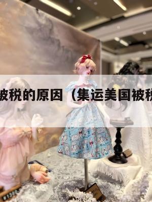 集运美国被税的原因（集运美国被税的原因有哪些）