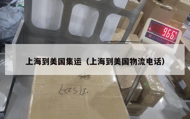 上海到美国集运（上海到美国物流电话）