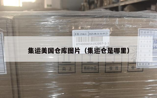 集运美国仓库图片（集运仓是哪里）