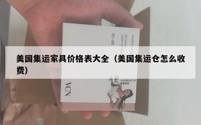 美国集运家具价格表大全（美国集运仓怎么收费）