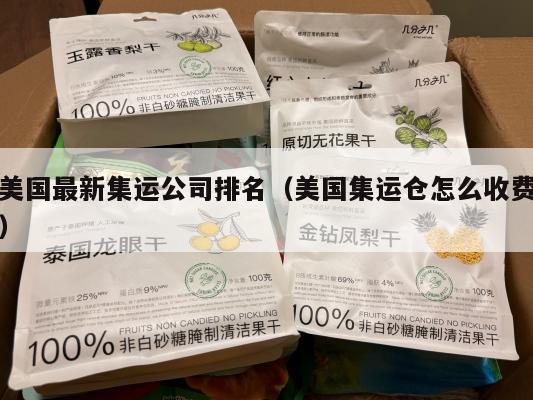 美国最新集运公司排名（美国集运仓怎么收费）