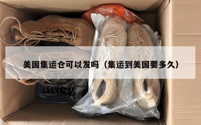 美国集运仓可以发吗（集运到美国要多久）